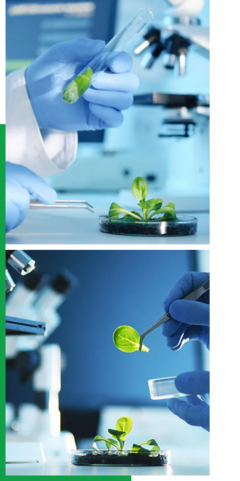 創(chuàng)新驅(qū)動(dòng)，智領(lǐng)未來(lái)——我們的企業(yè)簡(jiǎn)介